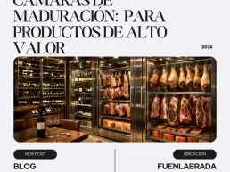 Interior de una bodega sofisticada con estanterías de vino, mesas de cata, y cámaras de maduración de carnes con cortes colgados y bloques de sal, iluminado con luz cálida.